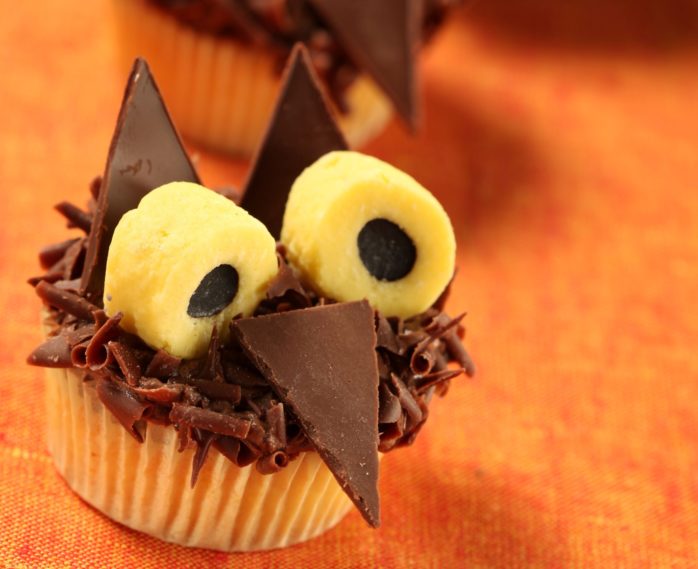 Chocolate Owls